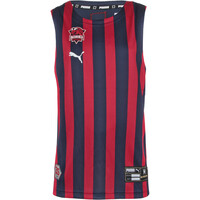 Puma camiseta oficial baloncesto niños BASKONIA 25 JR GAME JER vista frontal