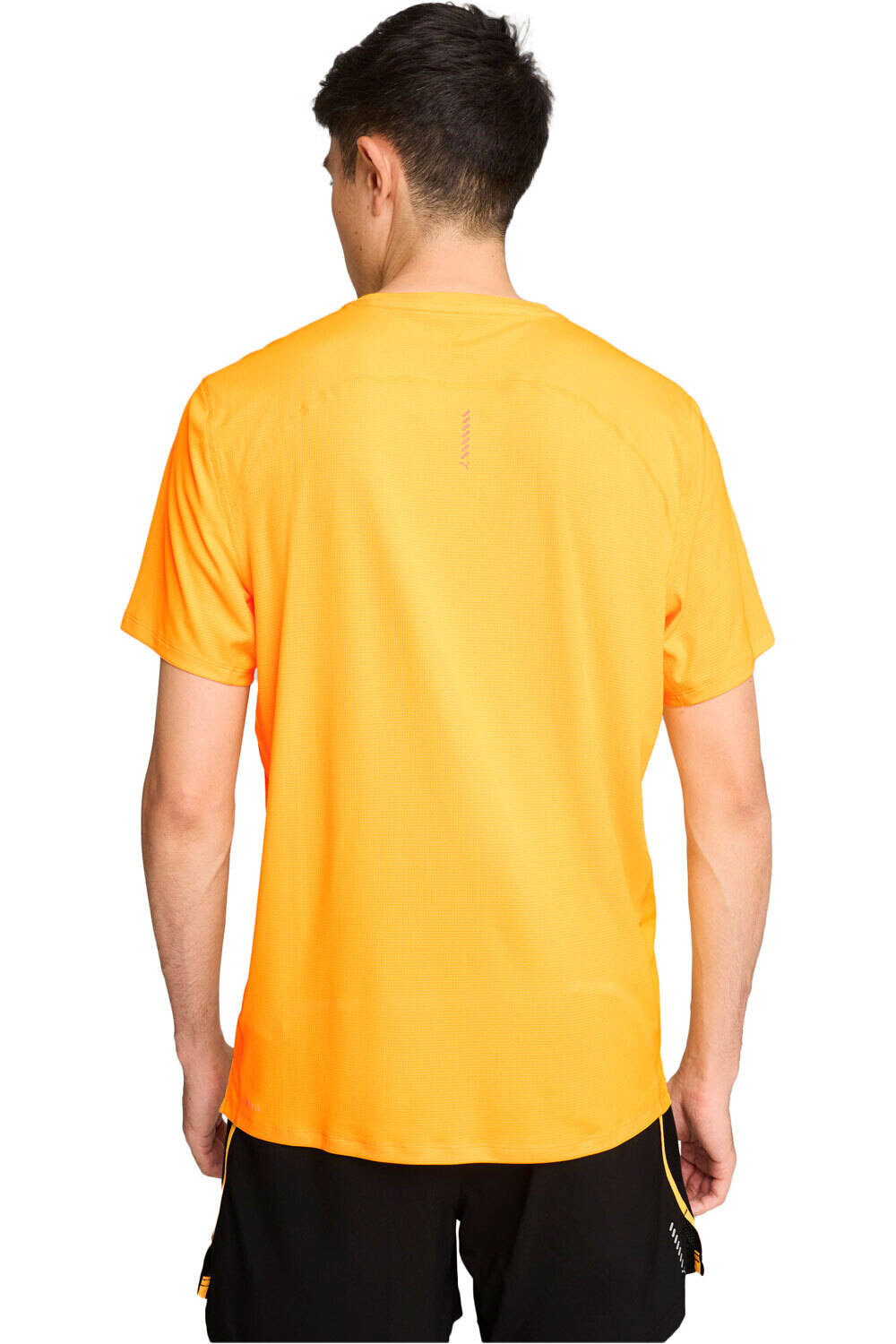 Puma camiseta técnica manga corta hombre RUN FAVORITE VELOCIT vista trasera