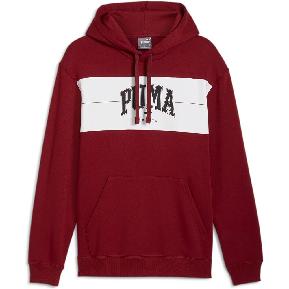 Puma sudadera hombre PUMA SQUAD Hoodie FL vista frontal