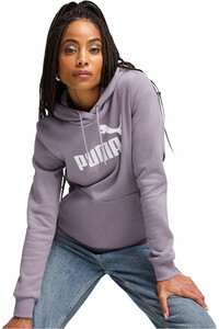 Puma sudadera mujer ESS Logo Hoodie FL vista frontal