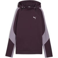 Puma sudadera mujer EVOSTRIPE Hoodie 04