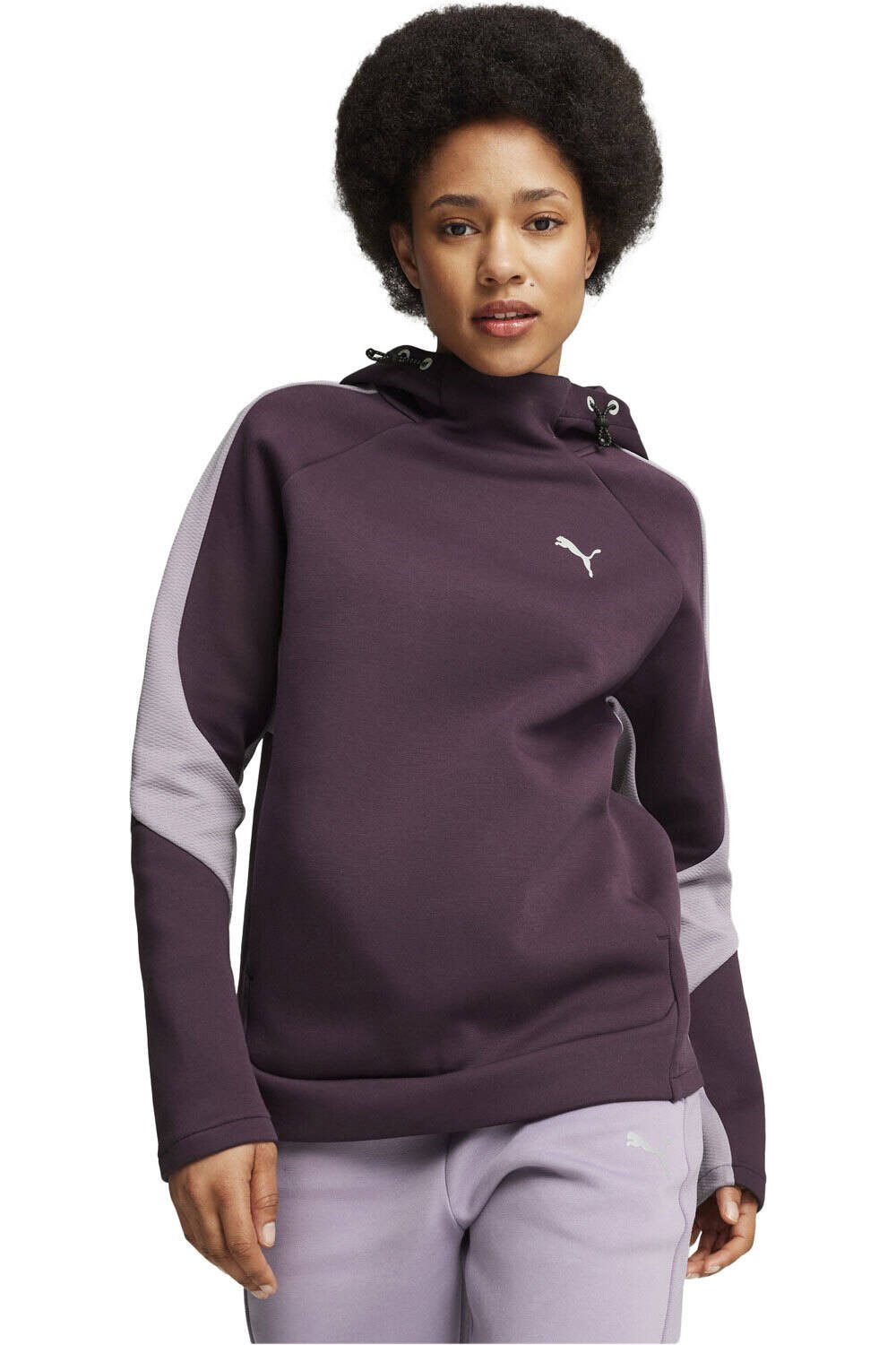 Puma sudadera mujer EVOSTRIPE Hoodie vista frontal