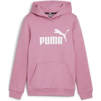 Puma sudadera niña ESS Logo Hoodie FL G vista detalle