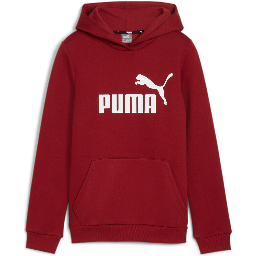 Puma sudadera niña ESS Logo Hoodie FL G vista frontal