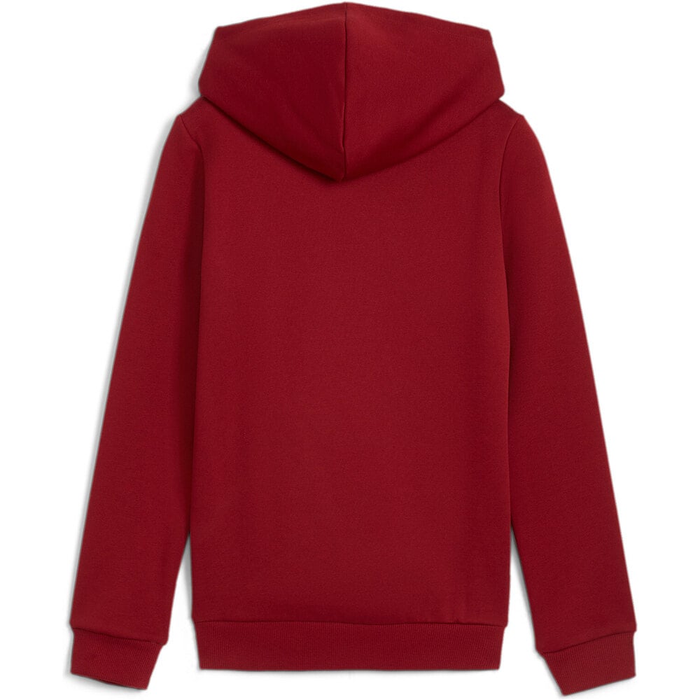 Puma sudadera niña ESS Logo Hoodie FL G vista trasera