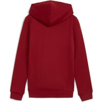 Puma sudadera niña ESS Logo Hoodie FL G vista trasera