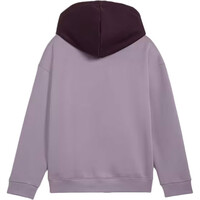 Puma sudadera niña PUMA POWER Hoodie FL 03