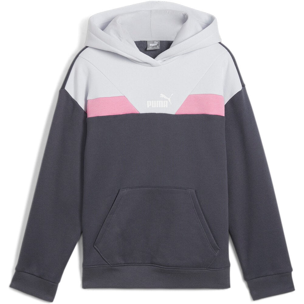 Puma sudadera niña PUMA POWER Hoodie FL vista detalle