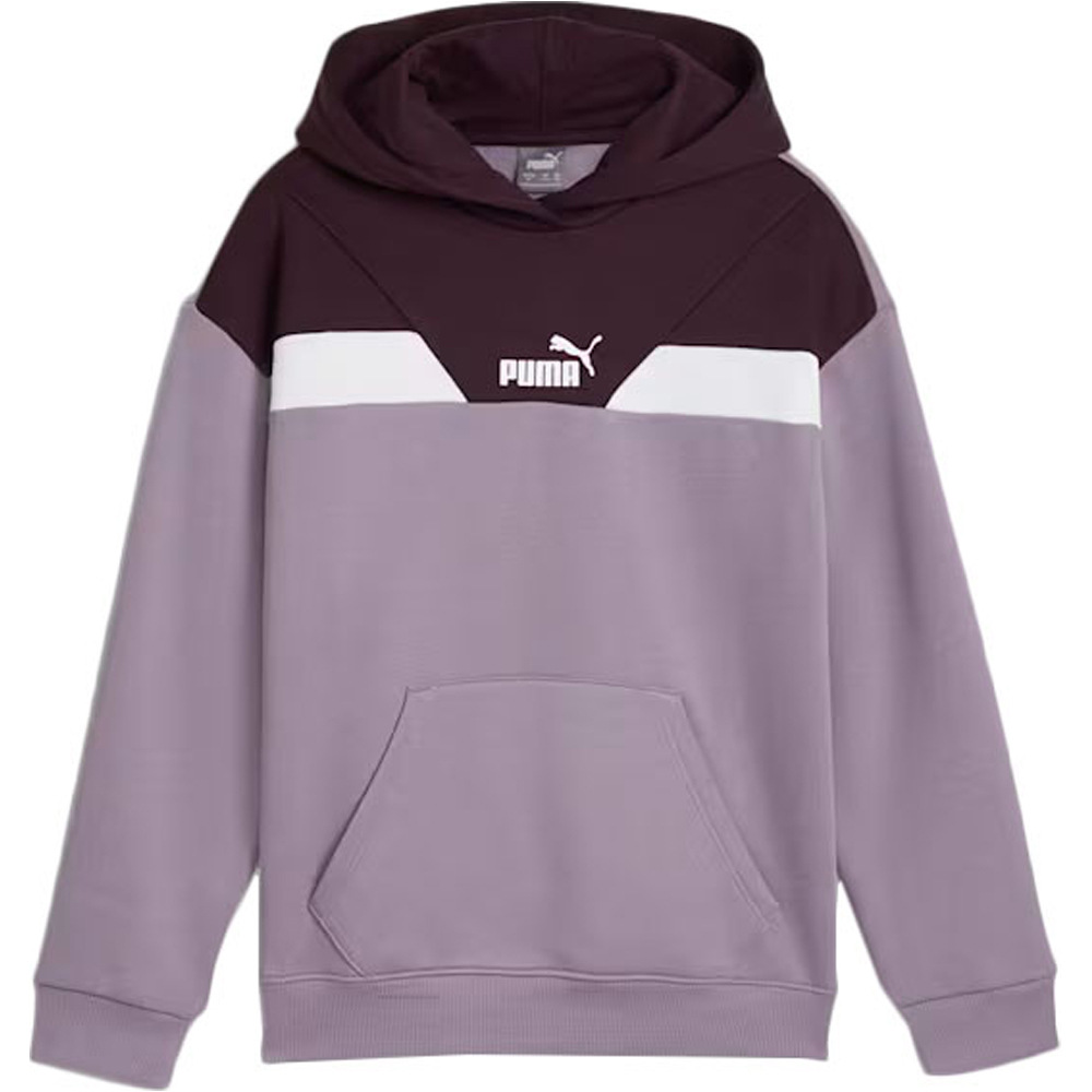 Puma sudadera niña PUMA POWER Hoodie FL vista detalle