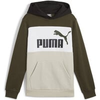 Puma sudadera niño ESS BLOCK Hoodie FL vista frontal