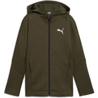 Puma sudadera niño EVOSTRIPE FZ Hoodie vista detalle