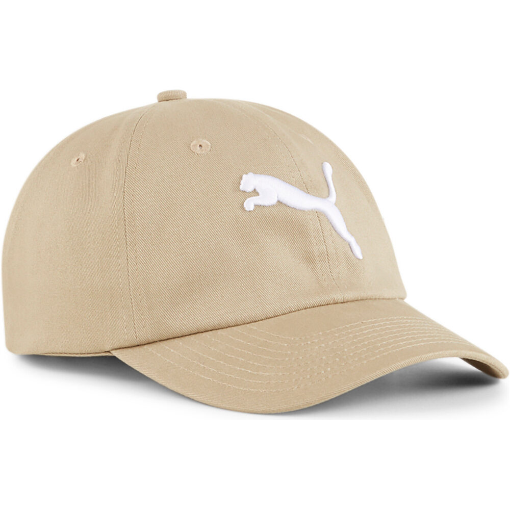 Puma visera lona ESS Cat Logo BB vista frontal