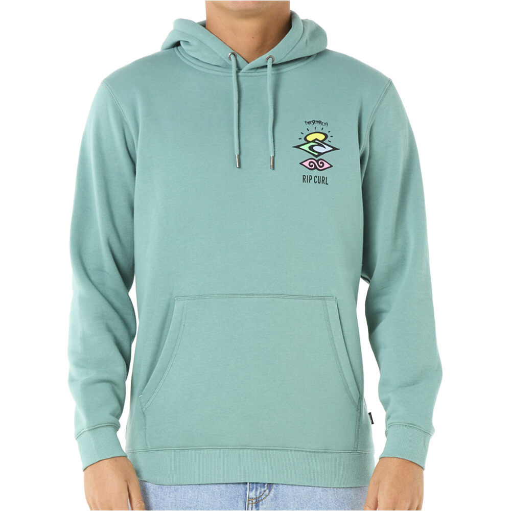 Rip Curl sudadera hombre SEARCH ICON HOOD vista frontal