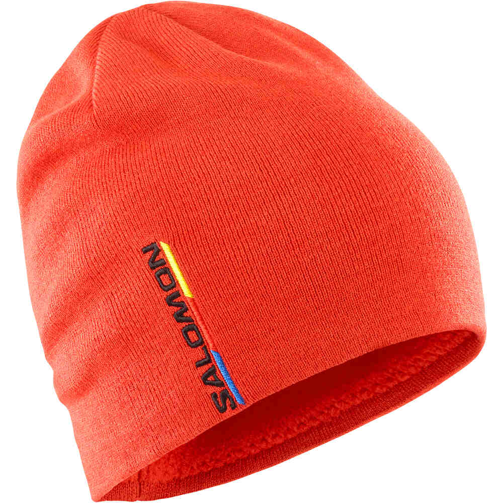 Salomon gorro esquí hombre GRAPHIC BEANIE vista frontal