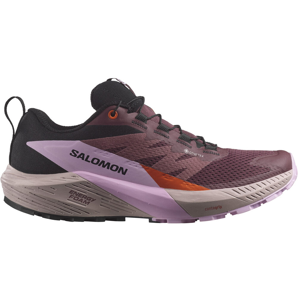 Salomon zapatillas trail mujer SENSE RIDE 5 GTX W lateral exterior