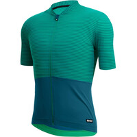 Santini maillot manga corta hombre COLORE RIGA - JERSEY vista detalle