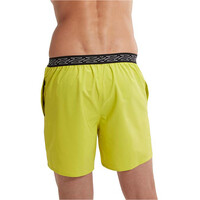 Speedo bañador playa hombre Hyper Boom Band 16 Watershort vista detalle