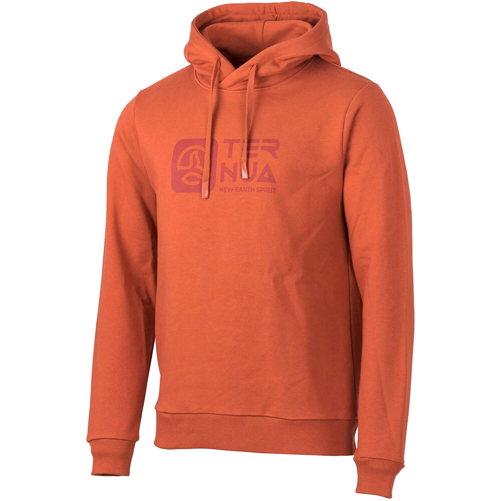 Ternua Sudaderas Montaña Hombre AILIK HOODY M vista frontal