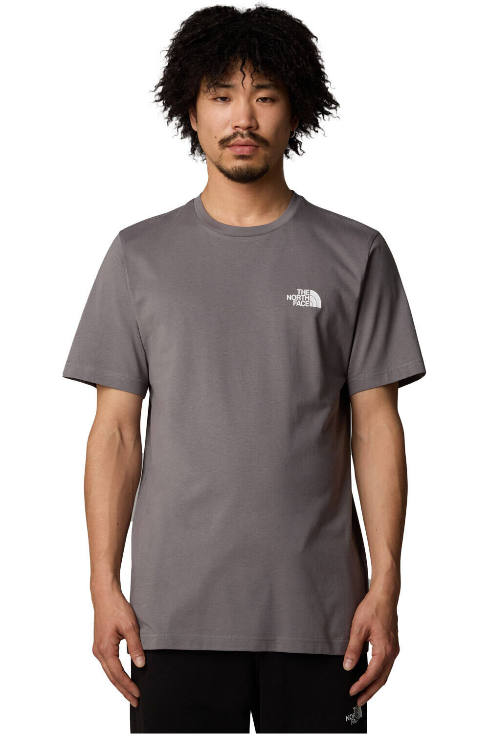 The North Face camiseta montaña manga corta hombre M S/S SIMPLE DOME TEE vista frontal