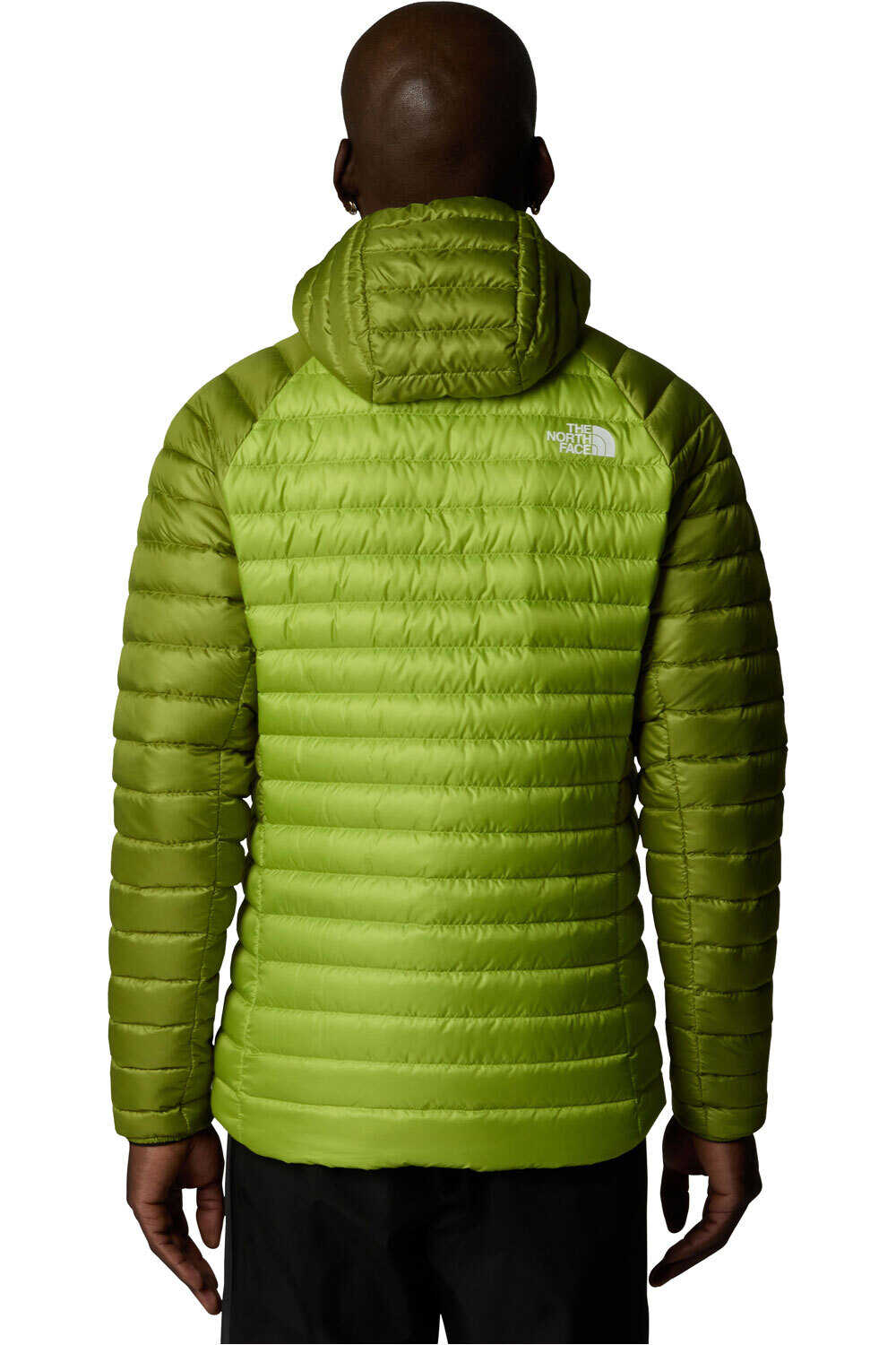 The North Face chaqueta outdoor hombre M BETTAFORCA LT DOWN HOODIE vista trasera