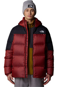 The North Face chaqueta outdoor hombre M DIABLO DOWN HOODIE vista detalle