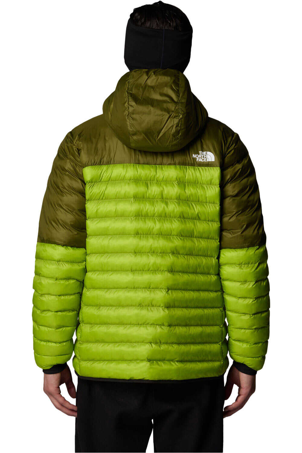 The North Face chaqueta outdoor hombre M TERRA PEAK HOODIE vista trasera