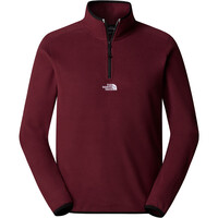 The North Face forro polar hombre M GLACIER 1/4 ZIP - EMBROIDERED LOGO vista detalle