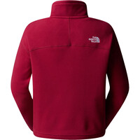 The North Face forro polar mujer W 100 GLACIER CROPPED 1/4 ZIP vista trasera