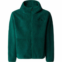 The North Face forro polar niño TEEN CAMPSHIRE F/Z HOODIE vista detalle