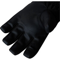 The North Face guantes montaña M MONTANA SKI GLOVE 01