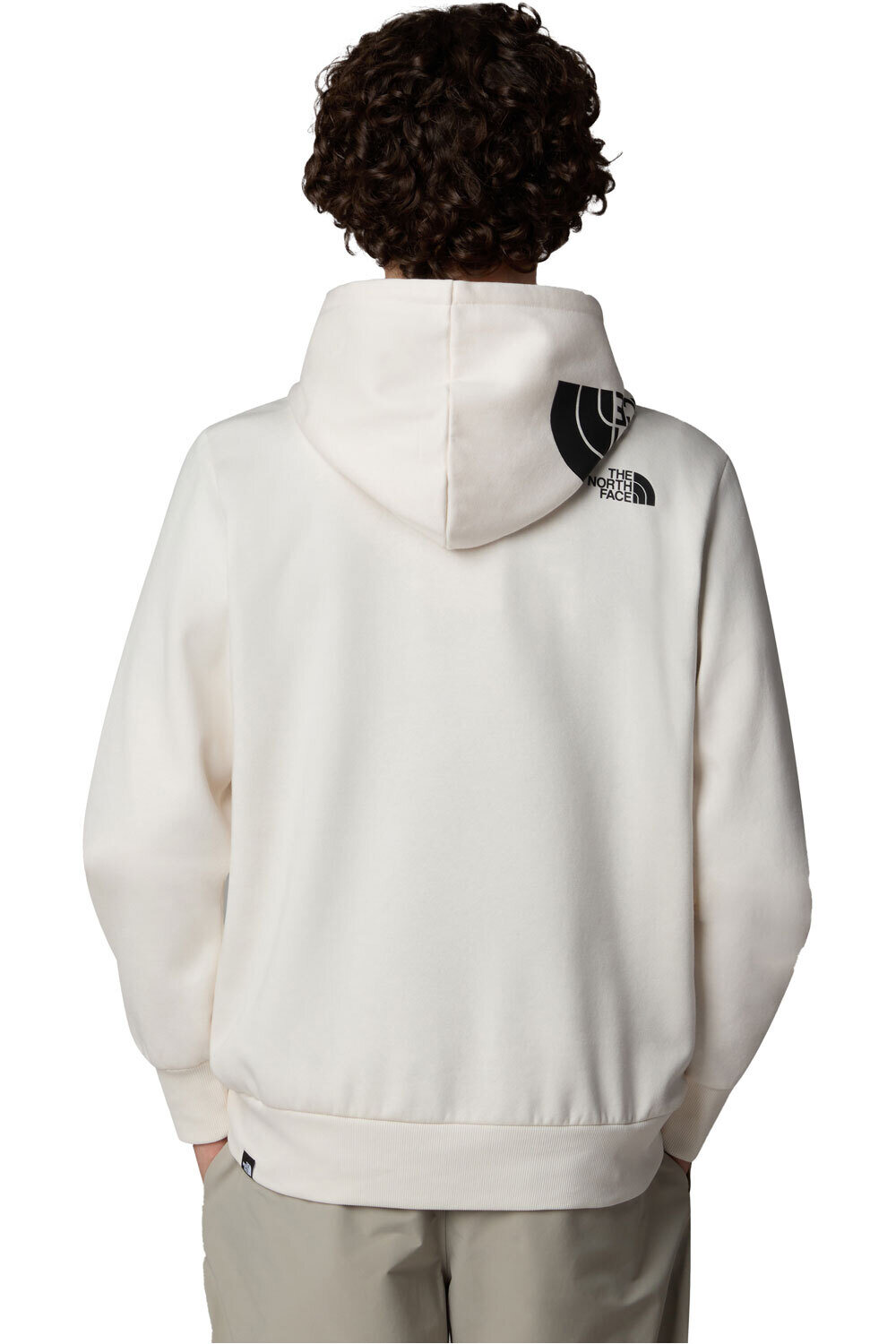 The North Face sudadera hombre M HOOD LOGO P/O vista trasera