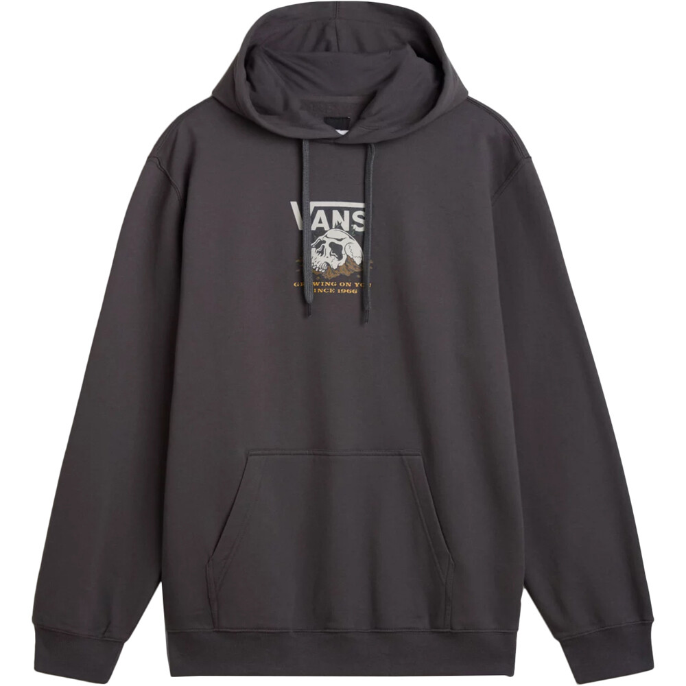 Vans sudadera hombre Growin On U Pullover vista frontal