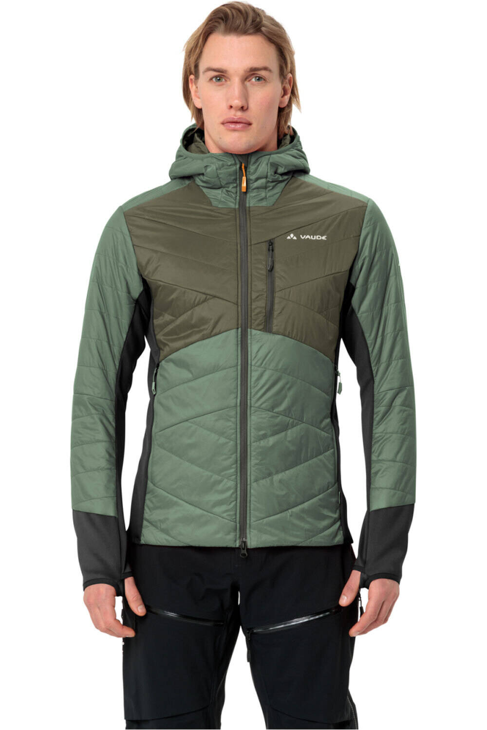 Vaude chaqueta outdoor hombre Men's Sesvenna Jacket IV vista frontal