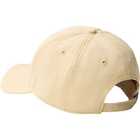 The North Face visera lona RECYCLED 66 CLASSIC HAT 01