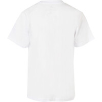 Rip Curl camiseta manga corta niño X_HI-LIGHTS TEE BOY vista trasera