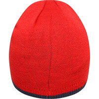 Dare2b gorro esquí infantil Frequent Beanie vista trasera