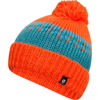 Boffin II Beanie