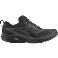 Salomon zapatillas trail hombre SENSE RIDE 5 GTX lateral exterior