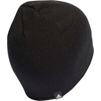 adidas gorro esquí hombre DAILY BEANIE vista trasera