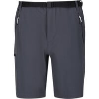 Regatta pantalón corto montaña hombre Xert StrShort III 03