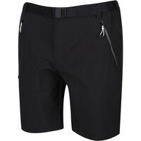 Regatta pantalón corto montaña hombre Xert StrShort III 06