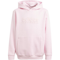 adidas sudadera niña X_J ALLSZN GFX HD vista frontal