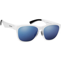 SUMMIT POLARIZED