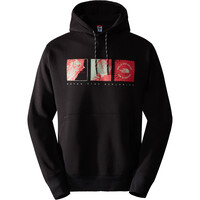 The North Face Sudaderas Montaña Hombre M OUTDOOR GRAPHIC HOODIE vista frontal