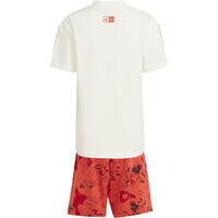 adidas conjunto junior LK DY MM T SET vista trasera