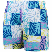 Speedo bañador playa hombre Printed Leisure 16 Watershort 04