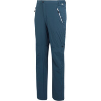 Regatta pantalón montaña hombre Mountain Z/O Trs 07