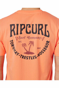 Rip Curl camiseta manga corta hombre F&B TEE vista detalle