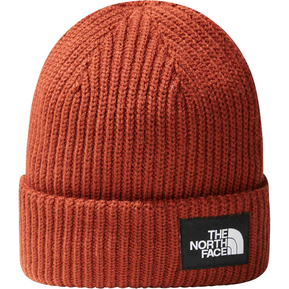 The North Face Salty Dog Beanie (NF0A3FJW) brandy brown