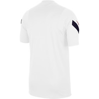 Nike camiseta de fútbol oficiales FRANCIA 20 M NK BRT STRK TOP SS vista trasera